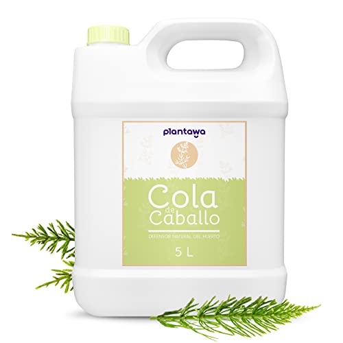 Plantawa Cola de Caballo 5L Plantas, Extracto 100% Natural y Sostenible. Bioestimulante. Preventivo y curativo de Las Enfermedades fúngicas para Jardín