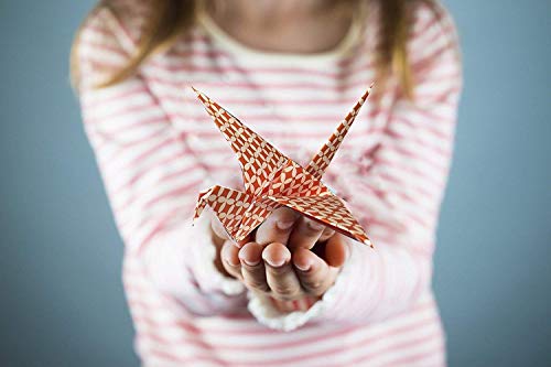 Origami Papel para Papiroflexia - 120 Hojas de Origami para Crear Figuras Hermosas - Origami Paper - Estampados con 40 Motivos Distintos, Ideal Para Grandes y Chicos - MozArt Supplies